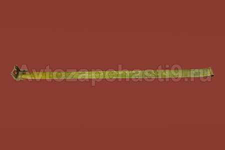 Лента бензобака 3302 